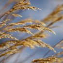 금곡스크린골프 이미지