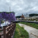 금산천 데크길 이미지