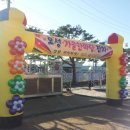 (학교)강릉오성학교 Daum카페