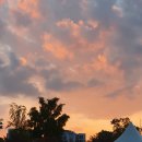 율천공원 | 런&amp;썸 수원 페스티벌 ~!! 썸도 타고 러닝도 하고 공연도 보고 맥주파티도 함께한 런펀에 참가한 후기~!!!