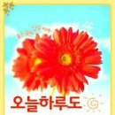 천년지기 이미지