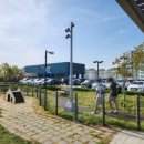 명지스타시티 동물약국 | 명지 스타필드 시티 반려동물 동반 구역 펫파크