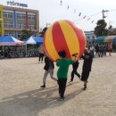 글로벌 송림 이미지