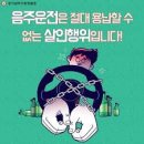 음주운전 도로교통법 정리 이미지