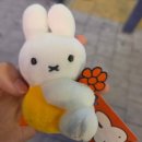 (주)하이프라자 동대전본점 | 6월 넷째주 일상 : 평범함을 쌓아가기