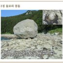 관매마을 Daum카페
