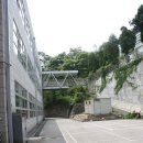 중앙고등학교 이미지