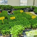 강릉농자재마트 이미지