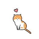 달보드레/루체레 이미지