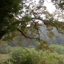 두곡마을 이미지