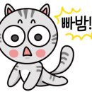 청주동물약국 이미지