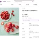 토마토마켓