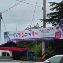 길수 | 통영 수국 명소 광도천 수국꽃길 제10회 광도빛길수국축제 다음날 다녀온 후기