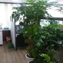 뽑기구역 이미지