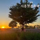 2023 시흥갯골축제 후기 | 환경캠페인,포토존,먹거리,셔틀버스,놀거리