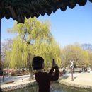 향단로 | 전북 남원 가볼만한곳 산들다헌 카페,광한루원,시립김병종미술관 방문 후기