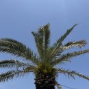 표선리-24 이미지