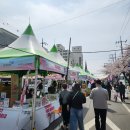 로타리커피숍 - 창원시 마산합포구 불종거리로 64 | 2026 진해 여좌천 중원로타리 벚꽃축제 먹거리 주차 후기