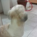 후평지구대 이미지