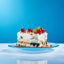 MGM호텔 | 미국 라스베가스여행 가족 여행 또는 신혼여행 호텔 추천 MGM 그랜드 호텔 앤 카지노 내돈내산 솔직 후기