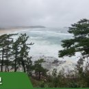 22사단 가는길 이미지