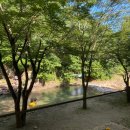 돌섬 | 전주 근교 계곡 추천｜동상계곡 돌섬산장 평상 이용 후기