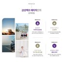 백조유치원 이미지