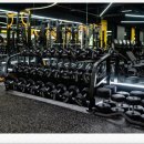 웰니스짐 이미지