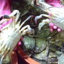 소래화원 이미지