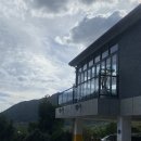 올라알파카 카페 | [화순 가볼만한 곳] 화순 먹이주기 체험 "올라알파카 카페" 다녀온 후기