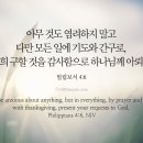 천씨씨커피구평점 이미지