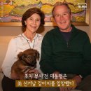 강아지 대통령 이미지