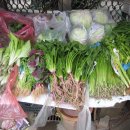 야채시장 이미지