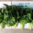 춘화로 14-3 이미지