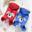 큐티애견 이미지