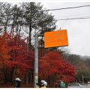 싸리골약수터 | 10/22(토) 필레약수터 단풍 투어 후기