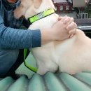 계양산목장 이미지