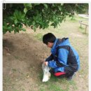 연세건무2태권도장 이미지