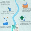 트렌들리