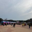 노을뷰맛집 오륙도 투나잇! 매년하는 걷기대회 행사참석후기, 참가비!