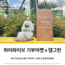 댕그리마켓