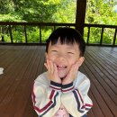 선경농원 Daum카페