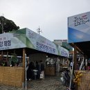 연백인삼