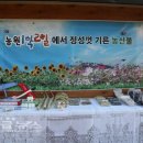 1박2일농원