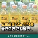 고로쇠농산물 | 고로쇠물 효능 당뇨 부작용 몰랐으면 큰일날뻔.. 고로쇠수액 후기