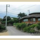 황토버섯 이미지