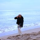 동해바다 이미지