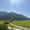 리더스 | [경남] 밀양 야간 노캐디 퍼블릭 골프장 추천 리더스cc 3부 후기