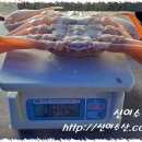 신이수산 이미지