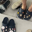 강아지분양 멍블랑 인천청라본점 네이버블로그